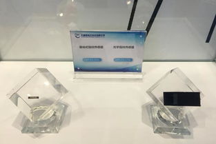 大唐微電子與晶科微電子攜手亮相第二屆生物識別博覽會，展現科技創新實力